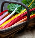 rainbow chard for ravioli