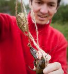 catching crayfish, my way!